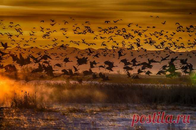 500px / Sand Hill Краны Джо Рэндалл