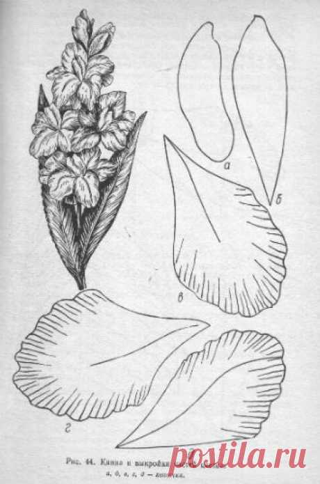 #Гладилус разбор + #выкройка_цветка