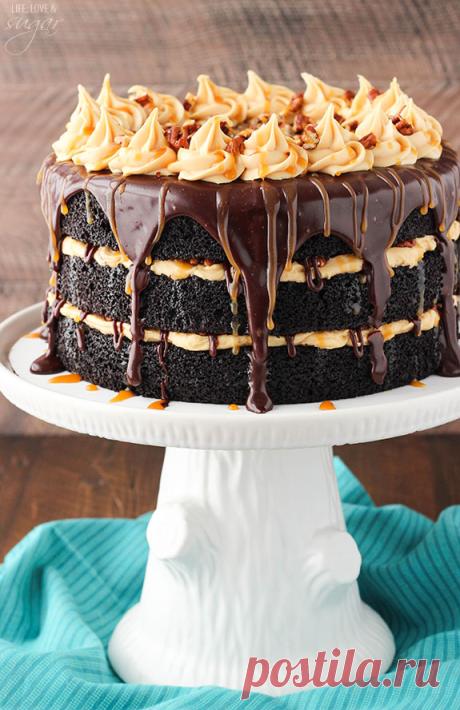 Turtle Chocolate Layer Cake - Life Love and Sugar