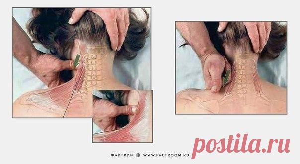 Как делать массаж: 7 картинок для понимания смысла движений рук / Surfingbird - мы делаем интернет лучше