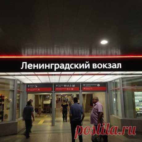Новые фотографии