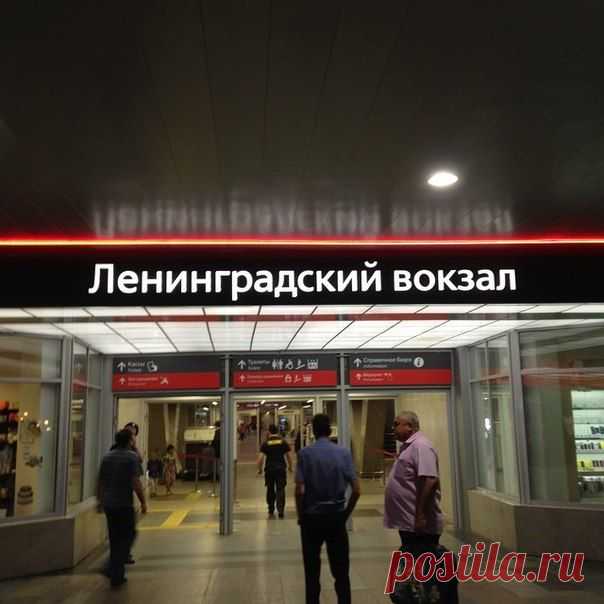 Новые фотографии