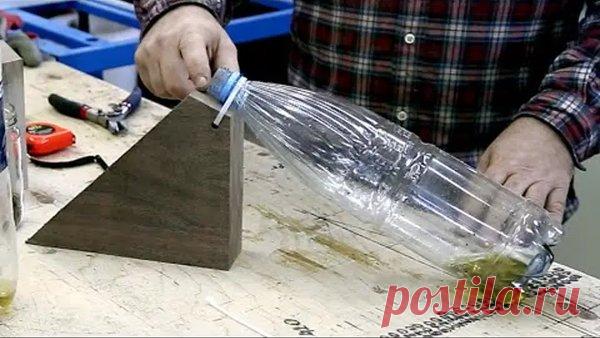 Элементарная мышеловка из пластиковой бутылки | ЗикЗак | Яндекс Дзен