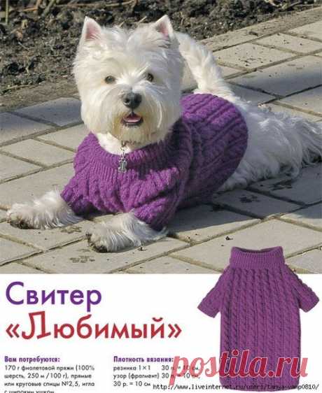 Свитер для любимого песика - Для животных