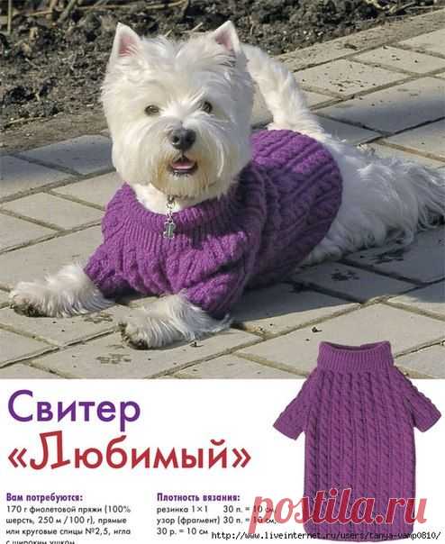 Свитер для любимого песика - Для животных