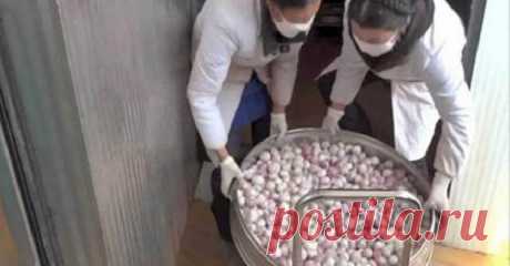 7 самых популярных продуктов из Китая, которые точно нельзя есть