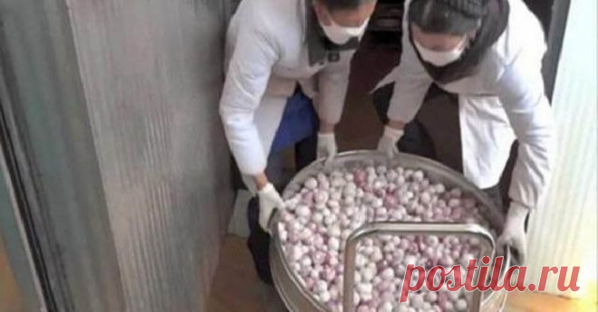 7 самых популярных продуктов из Китая, которые точно нельзя есть