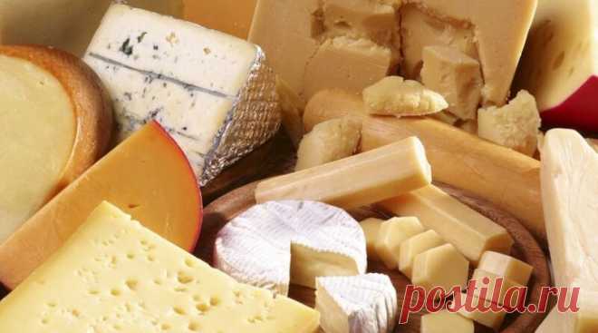 Как приготовить домашний сыр: 3 рецепта - Dynastyofchefs.ru