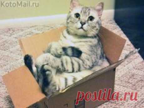 Apskatīt ziņojumu - Inbox Mail