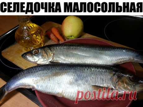СЕЛЕДОЧКА МАЛОСОЛЬНАЯ
Королева любого стола,а тем более праздничного!
НЕОБХОДИМО
На 1л воды
2 ст.л.соли крупной
2 ст.л.сахара
1 ст.л.уксуса 9%
2 листочка лаврового листа
4 шт душистого перца горошком
4 шт черного перца горошком
1.В кастрюлю налить воды,добавить соль,сахар,лавровый лист,перец,довести до кипения,добавить уксус и снять с огня,остудить полностью
2.Сельдь полностью распотрошить,отрезать голову,кожу не снимать!
3.Сельдь выложить в емкость с крышкой и залить осты...