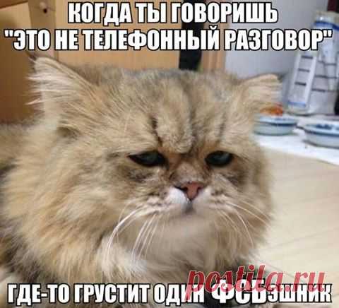 Котаны [official group]