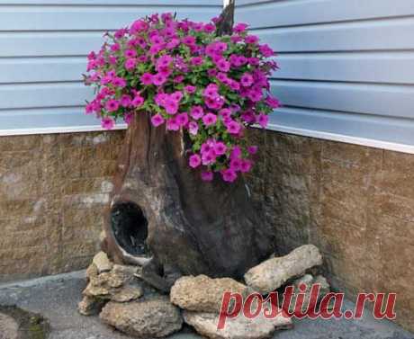 Необычные цветники своими руками: 15 интересных идей
