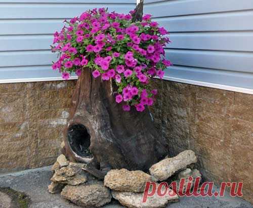 Необычные цветники своими руками: 15 интересных идей