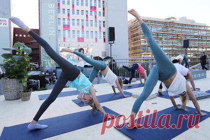 Назван простой способ улучшить мозг и интеллект: Жизнь: Наука и техника: Lenta.ru