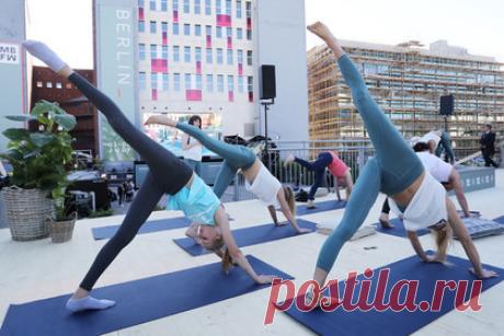 Назван простой способ улучшить мозг и интеллект: Жизнь: Наука и техника: Lenta.ru