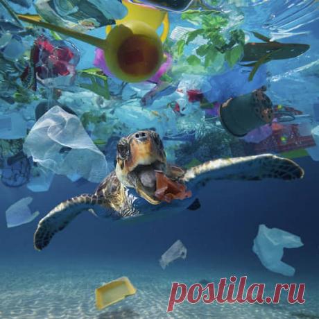 2022--Великий ПЛАСТИКОВЫЙ ОКЕАН - Коммерсантъ