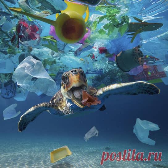 2022--Великий ПЛАСТИКОВЫЙ ОКЕАН - Коммерсантъ