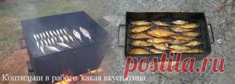 Самодельные коптильни для мясных и рыбных продуктов горячего и холодного копчения