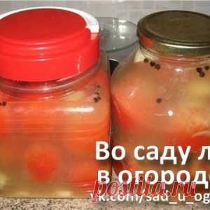 Квашеные соленые помидоры – такие же вкусные как бочковые!