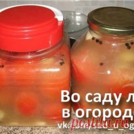 Квашеные соленые помидоры – такие же вкусные как бочковые!
