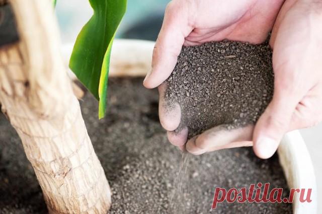 1 непрочитанный чат