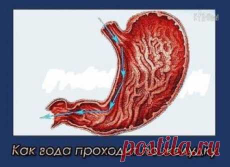 САМЫЙ ПРОСТОЙ СЕКРЕТ ДОЛГОЛЕТИЯ 
Открою вам самый простой секрет долголетия. Этот секрет описал еще Авиценна в своих рецептах долголетия.Вы с ним сталкиваетесь каждый день помногу раз! Он считал одним из самых существенных факторов …