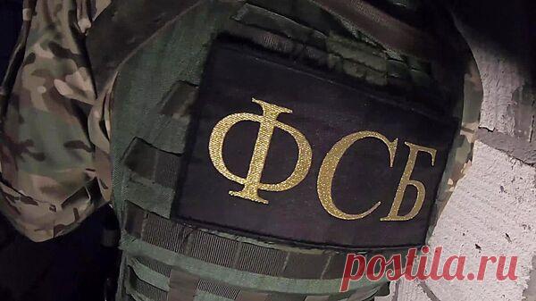 В Москве изъяли 673 килограмма кокаина на сумму до 6,5 миллиарда рублей