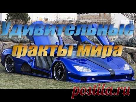 Удивительные факты мира https://youtu.be/y5GyRaK41tE Многие скажут, что знают много разных удивительных фактов . Но наверное и есть таких люди, которым будет...