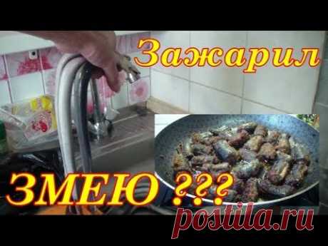 МИНОГА. Как с ней справиться?