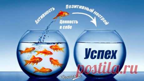фото - 17 фото. Сообщество ДОБЕЙСЯ УСПЕХА!!! - группы Мой Мир.