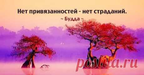 (2) Людмила Белецкая