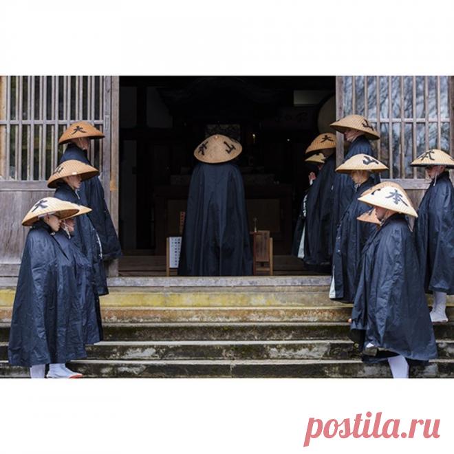 Что такое лярвы?