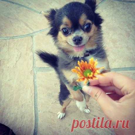 Мой Мир@Mail.Ru