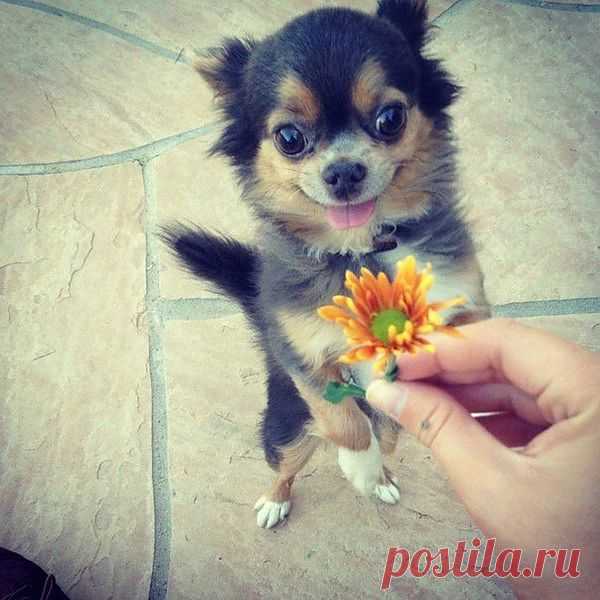 Мой Мир@Mail.Ru