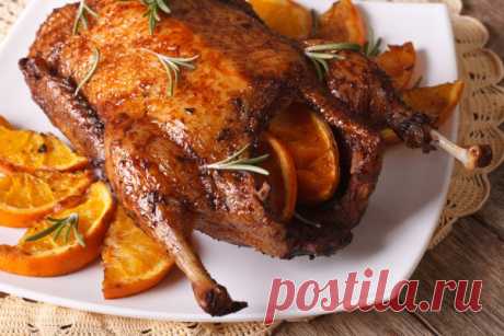 Вкусные рецепты