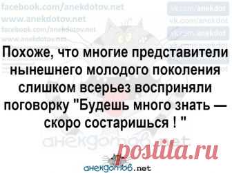 Дорогой, погладь себе рубашку... Улыбнемся))