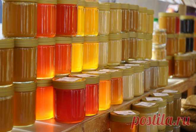 Что происходит с организмом, когда вы едите мед?  
Со времен Гиппократа мед считается одним из самых главных лекарств человечества: не зря древний философ призывал употреблять его в пищу ежедневно. Интересно, что пчелиный нектар одобряет не только...