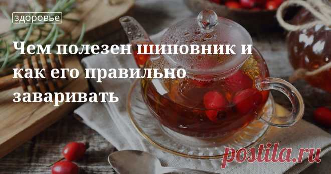 Чем полезен шиповник и как его правильно заваривать. Рецепты, лайфхаки, обзоры, и интересные истории из жизни. Все о доме, семье, уюте, готовке а так же рецепты с фото на сайте Едим Дома