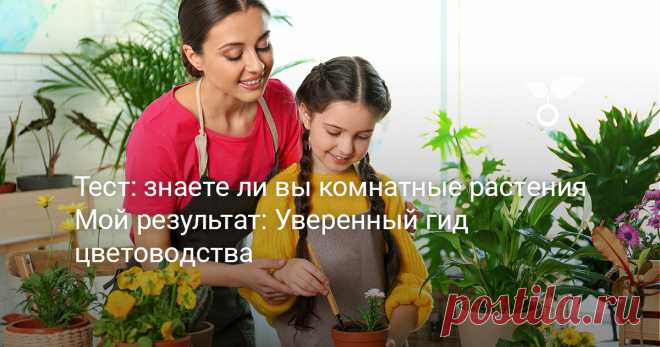 Мой результат: Уверенный гид цветоводства — Ботаничка Вы не первый год увлекаетесь растениями, а посещение садовых центров доставляет больше удовольствия, чем походы по музеям или шопинг. У вас наверняка появились «друзья по интересам», с которыми есть, что обсудить и позаимствовать веточку нового комнатного растения.