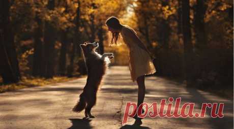 Есть замечательная пословица: «Каждый хочет иметь друга, но не каждый хочет им быть». Сейчас все чаще мы хотим «иметь». «Хочу ребенка» вместо «хочу быть матерью», «хочу иметь мужа» вместо «хочу быть женой» и т. п. За этими тонкостями языка стоит отношение человека к жизни, его девиз: или — я для кого-то, или — кто-то для меня... В своем желании иметь мы ломаем жизни, разбиваем сердца — и страдаем от одиночества... «Человеку обладающему» всегда будет мало того, что есть. Мало денег, мало…