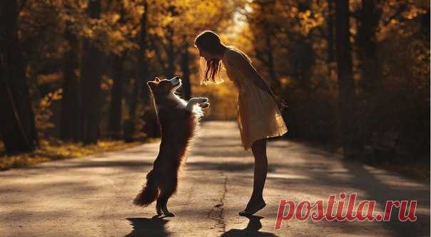 Есть замечательная пословица: «Каждый хочет иметь друга, но не каждый хочет им быть». Сейчас все чаще мы хотим «иметь». «Хочу ребенка» вместо «хочу быть матерью», «хочу иметь мужа» вместо «хочу быть женой» и т. п. За этими тонкостями языка стоит отношение человека к жизни, его девиз: или — я для кого-то, или — кто-то для меня... В своем желании иметь мы ломаем жизни, разбиваем сердца — и страдаем от одиночества... «Человеку обладающему» всегда будет мало того, что есть. Мало денег, мало…