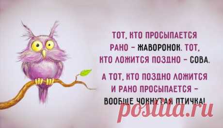 Правильный режим питания для &quot;сов&quot; и &quot;жаворонков&quot;! » Женский Мир