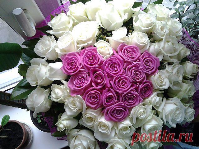 Красивые Цветы  Для Тебя