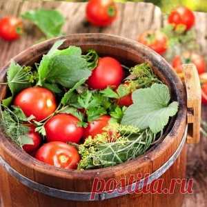 Рецепт соленых помидоров