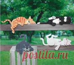 Коты на даче