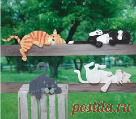 Коты на даче