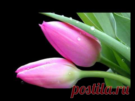 МУЗЫКА ДОЖДЯ . - YouTube