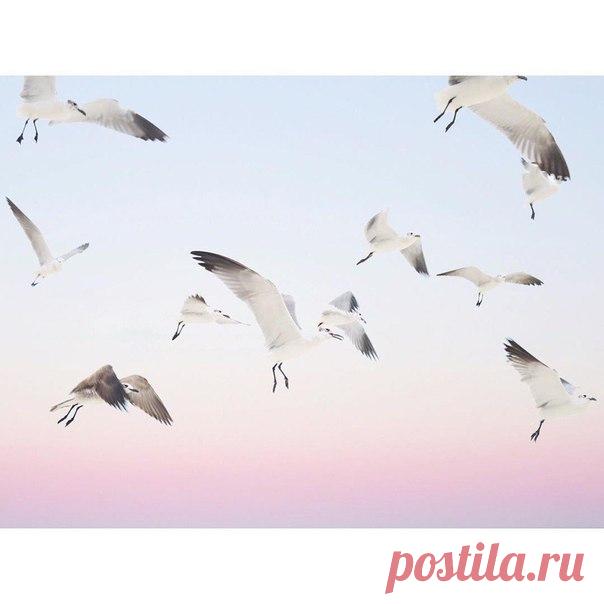 В этом мире, уставшем от фальши, Лишь любовь вдохновляет, чтоб жить… Заражайтесь любовью, а дальше, Постарайтесь её не убить…