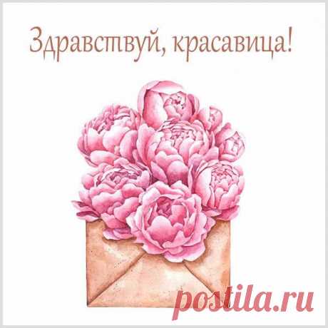 Привет, красавица!