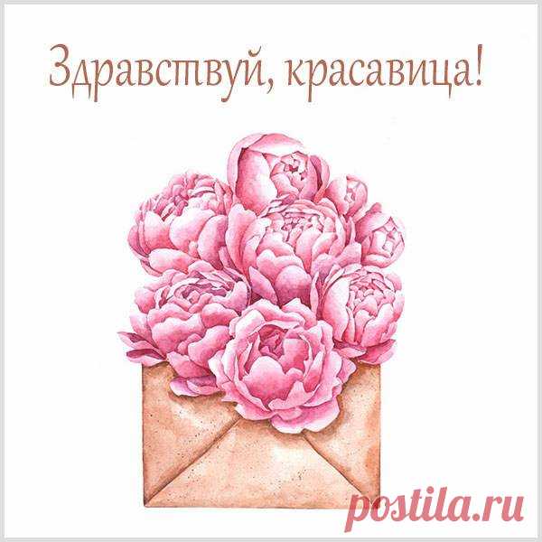 Привет, красавица!